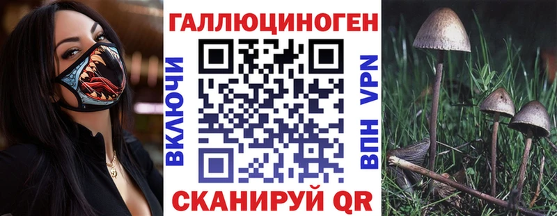 omg ТОР  Красногорск  Галлюциногенные грибы мицелий 