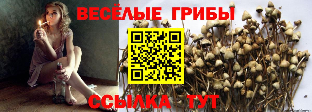 Галлюциногенные грибы прущие грибы Красногорск