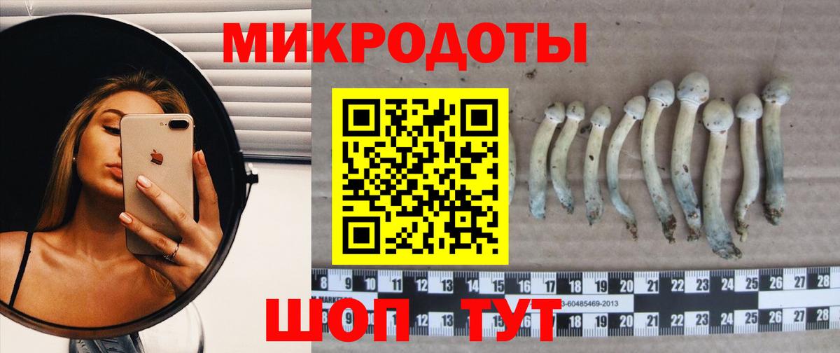Красногорск  Галлюциногенные грибы мицелий  Вход с VPN 